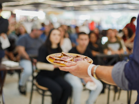 Festival Tutano traz feira gastronômica, música ao vivo e palestras ao MON