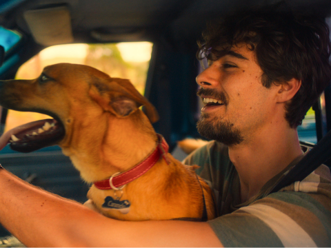 "Caramelo": o que esperar do filme sobre um chef de cozinha e o cachorro mais brasileiro de todos