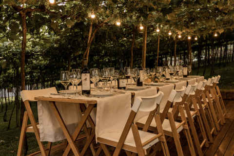 Réveillon 2026 une gastronomia, vinho e música entre vinhedos na Serra Gaúcha