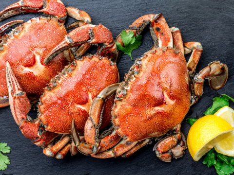 Começou  a temporada do caranguejo! Veja onde comer em Curitiba