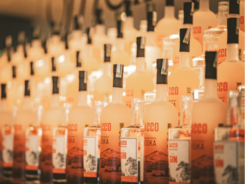 Com foco na inovação, Bacco se consolida como uma das principais destilarias premium no Brasil