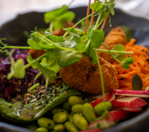 Protagonismo além da carne: a culinária vegetariana no Prêmio Bom Gourmet 2026