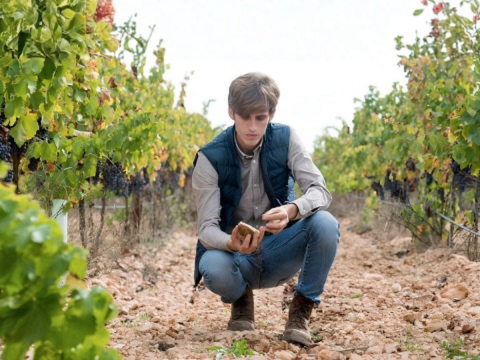 Dois atraentes eventos de vinho da bodega Chozas Carrascal em Curitiba