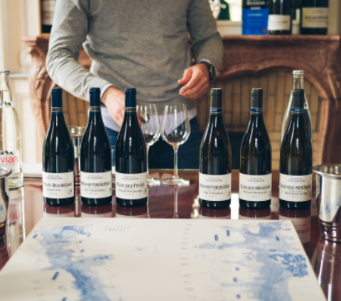 Os vinhos provados e recomendados para começar o mês de agosto de 2026