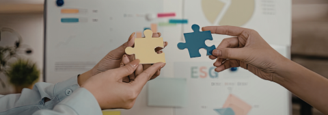 Profissional bom é aquele que dá seus pulos