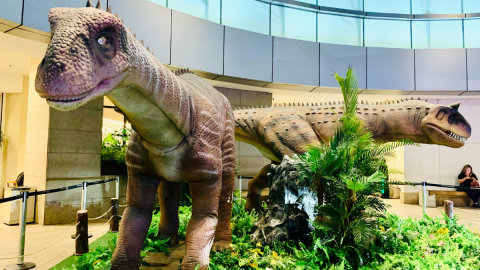 Exposição de dinossauros em tamanho real tem último fim de semana