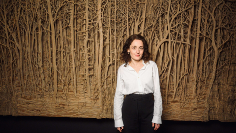 "Mundos imaginários": MON traz exposição inédita no Brasil de artista francesa