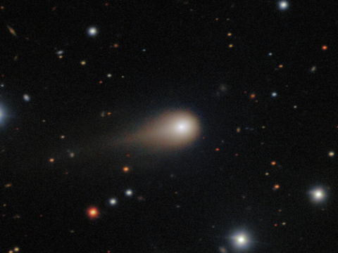 3I/Atlas e a Hipótese do Coentro