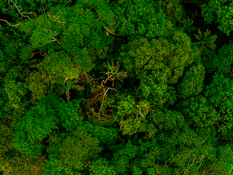 Sustentabilidade como diferencial competitivo