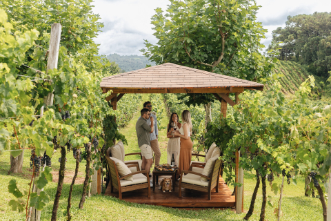 Bangalôs entre vinhedos marcam nova fase do enoturismo da Larentis no Vale dos Vinhedos