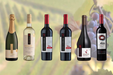 Master Class Lídio Carraro dá a largada nos 10 anos do Vino! Batel