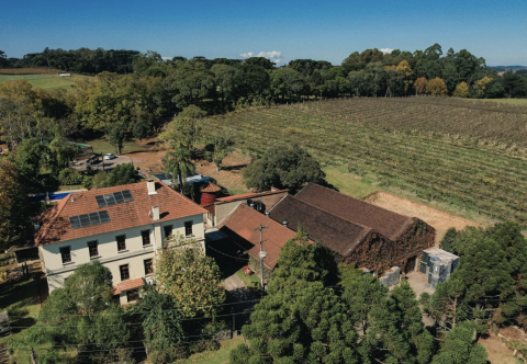 Nature: o restaurante que ajuda a contar a nova história de Pinto Bandeira