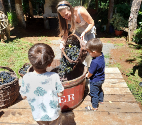 Sabores e experiências que contam histórias do Paraná