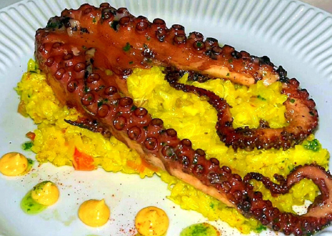 Um menu só de polvo, para comemorar o retorno do restaurante Olivença