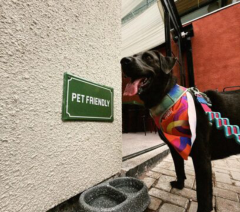 Floreria Café.Bar é Finalista do Prêmio Bom Gourmet 2026 na Categoria Local Pet Friendly