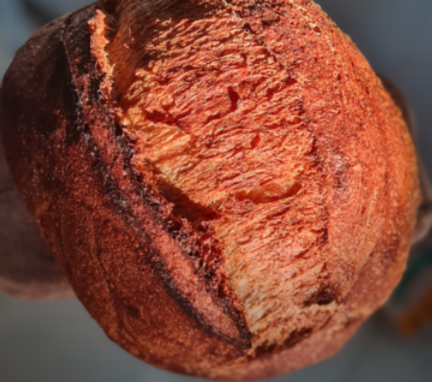 Fábrika Pães & Café é Finalista do Prêmio Bom Gourmet 2026 na Categoria Pão de Fermentação Natural