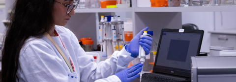 Paraná tem maior salto em inovação entre grandes economias do país