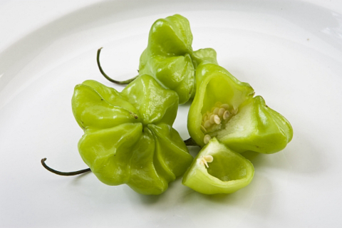 Pimentas que surpreendem