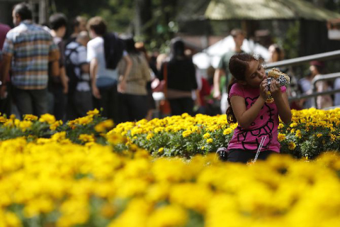 Destaques da segunda edição da Vinada Cultural