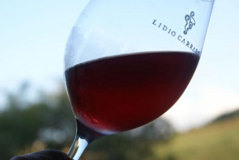 Festival gourmet na Saint Germain