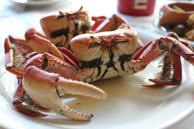 King Crab tem rodízio do crustáceo. Inclui acompanhamentos. Foto: divulgação