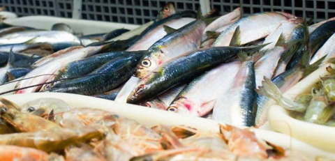 Delícias para enriquecer a alimentação