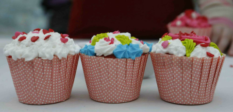 Veja a programação especial para as crianças