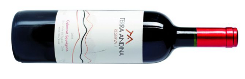 Terra Andina Reserva 2008
