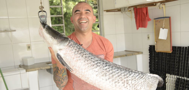 Ivan Lopes, chef do restaurante Mukeka, vai a SP comprar pirarucu.