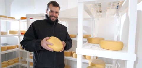 A maioria dos brasileiros desconhece nossos queijos por causa da legislação antiga