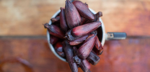 Slow Food quer criar setor de cultura alimentar