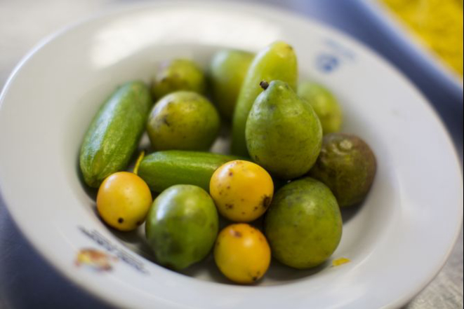 Sua marca é o uso de frutas em pratos salgados, como a cajá umbu (fruto amarelo) e o biribiri (verde alongado). Foto: Brunno Covello/Gazeta do Povo