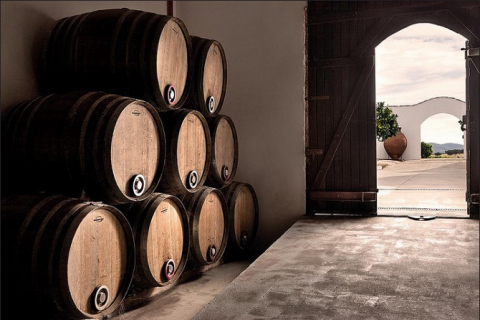 Comissão do Alentejo quer aumentar venda de vinhos brancos, rosés e espumantes no Brasil