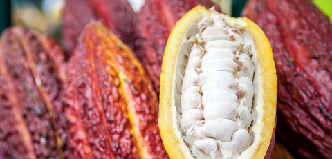 Do cacau ao café: os produtos em destaque nas gôndolas