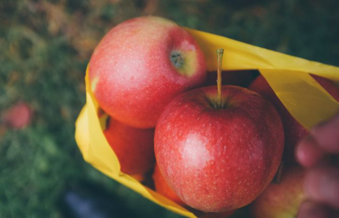 Frutas não podem ser transportadas de um país para outro. Foto: Visual Hunt/Reprodução