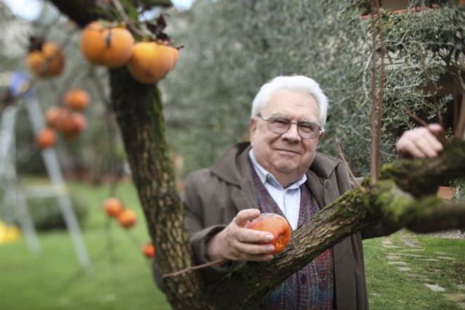     Giacomo Tachis tinha 82 anos e era considerado um dos melhores enólogos da Itália. Foto: Reprodução Deccanter