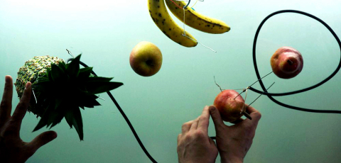 Artistas austríacos utilizam frutas para criar música eletrônica