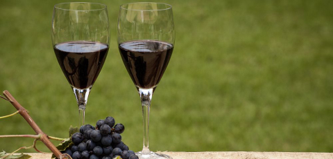 Estúdio Bom Gourmet tem aula sobre espumantes e queijos e vinhos