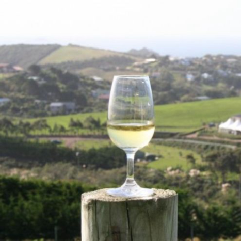 Papa do vinho branco morre na França