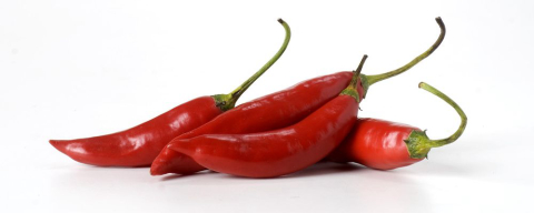 Concurso em Curitiba elege o melhor molho de pimenta do Brasil