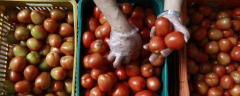 Chefs se unem a projeto que faz comida com alimentos que iriam para o lixo