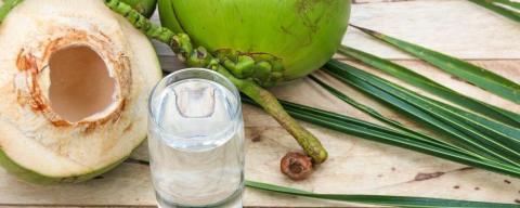 Confira locais para se refrescar com água de coco natural em Curitiba