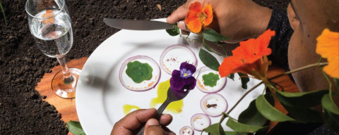 Pães, doces e arte da gastronomia são temas de livros de cozinheiros de Curitiba