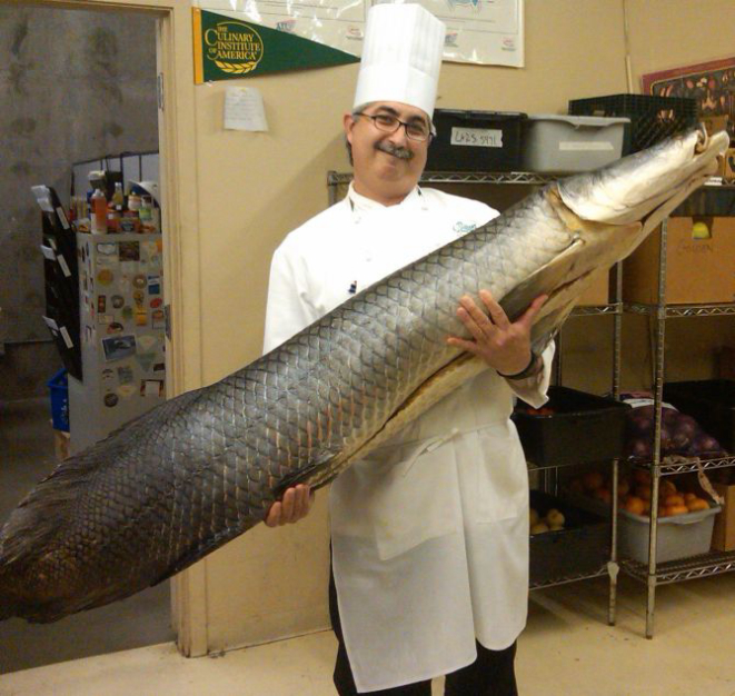 Chef Almir Da Fonseca promove os ingredientes, como pirarucu, e a cozinha brasileira nos Estados Unidos. Foto: Divulgação.