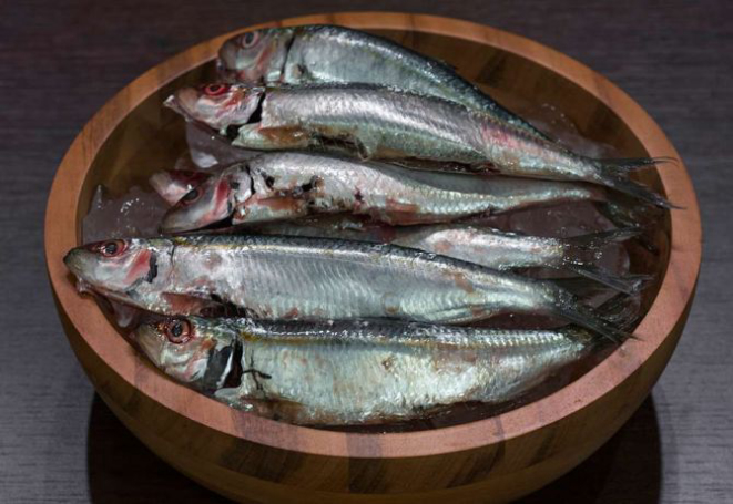 Sardinha fresca desafiou quatro participantes do Masterchef. Foto: Carlos Reinis/Divulgação