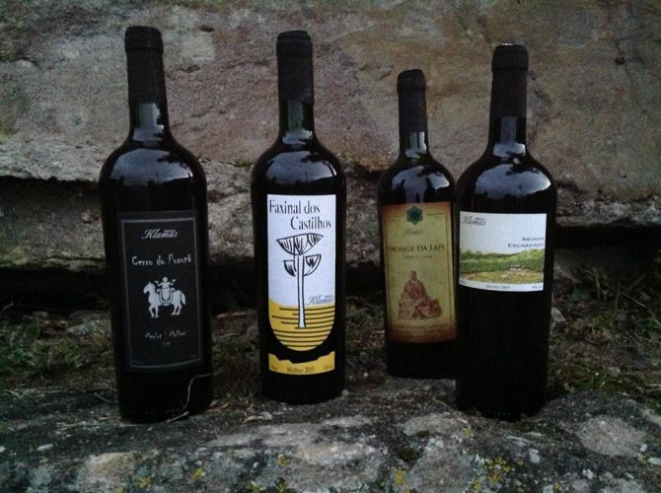 Vinhos da Weingut Klamas feitos por Breno entre 2011 e 2014, período em que morou em Curitiba após estudar enologia na Itália. Foto: Arquivo pessoal/Família Klamas