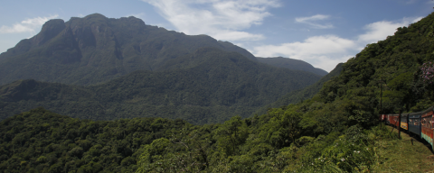 Slow food cresce no Paraná: produtores da Serra do Mar se juntam para defender a comida boa, limpa e justa