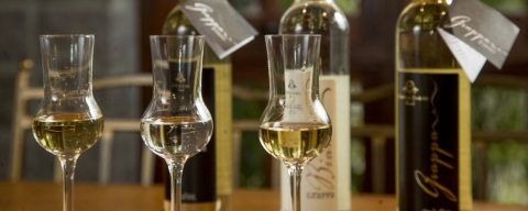 Em terra de boa cachaça, vinícola curitibana produz três tipos de grappa