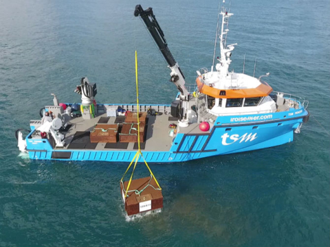 Miolo retira primeiro lote de espumantes envelhecido no fundo do mar