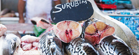 Para onde viajar e se surpreender com a gastronomia brasileira?